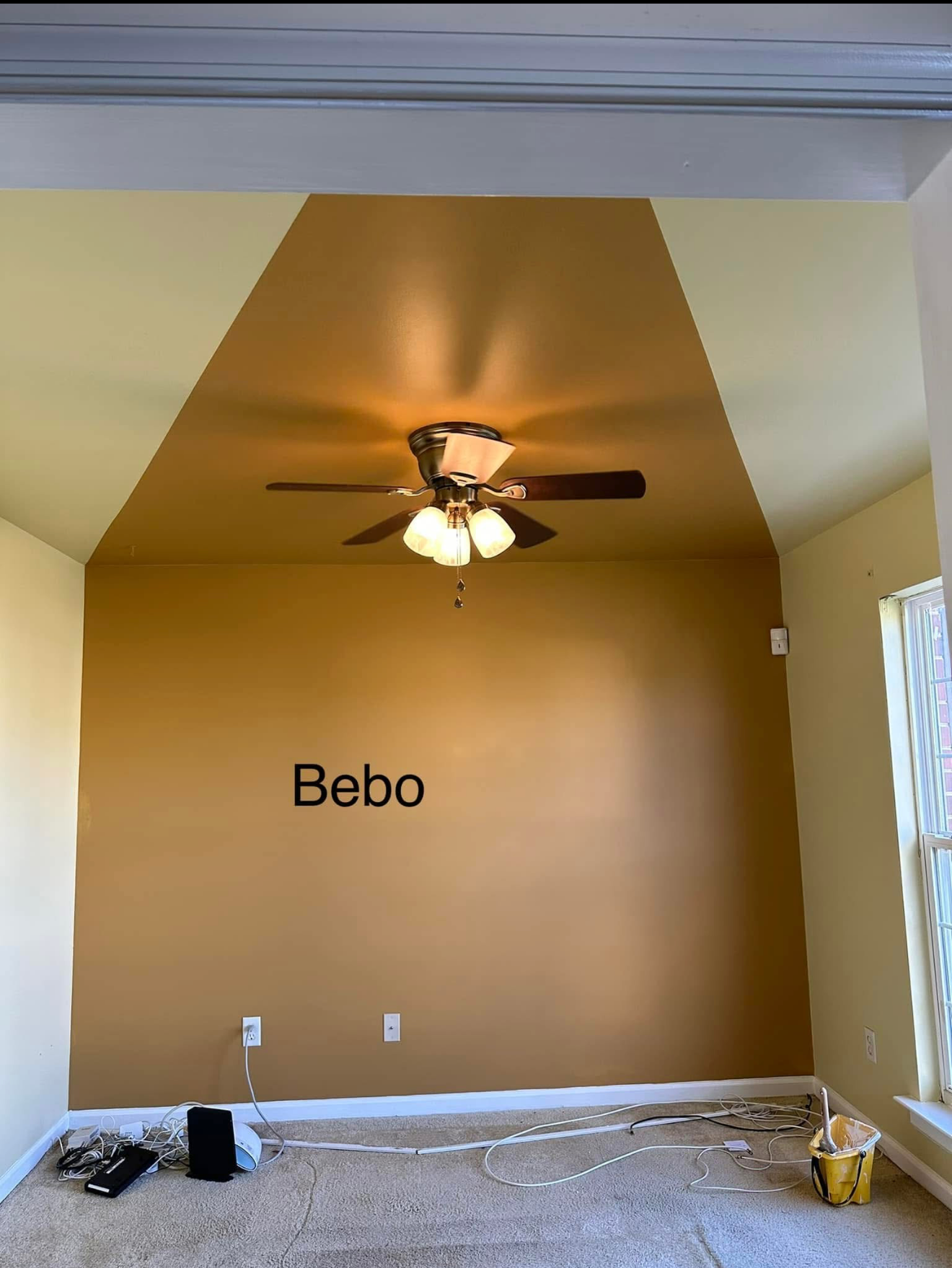 Accent Wall Painting